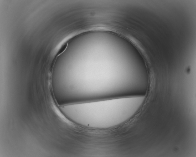 X0000116791476200912181042