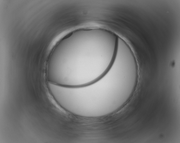 X0000116791477200912181042