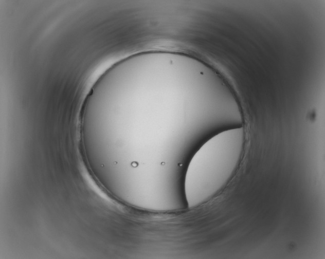 X0000116791479200912181042