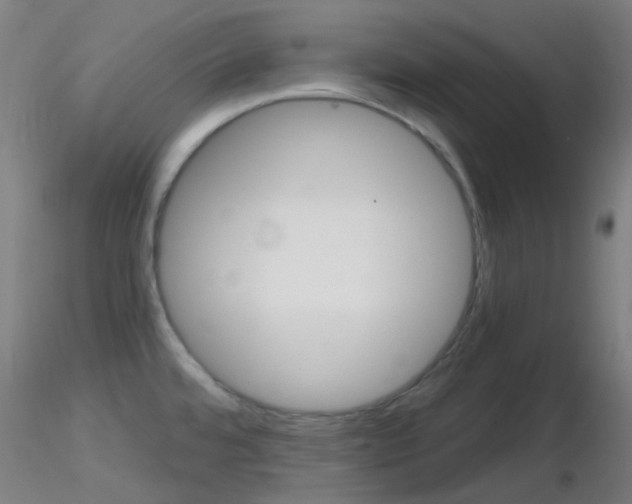 X0000116791480200912181042