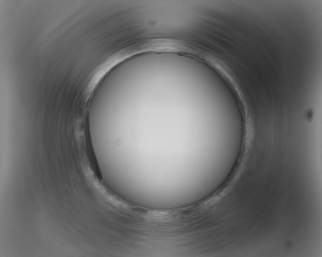 X0000116791481200912181042