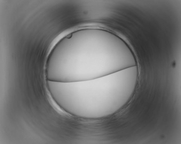 X0000116791482200912181042