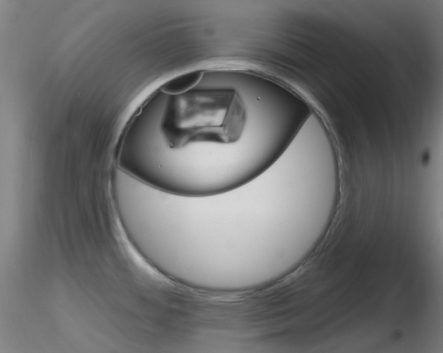 X0000116791484200912181042