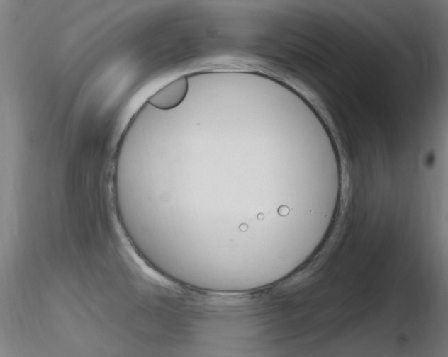 X0000116791486200912181042