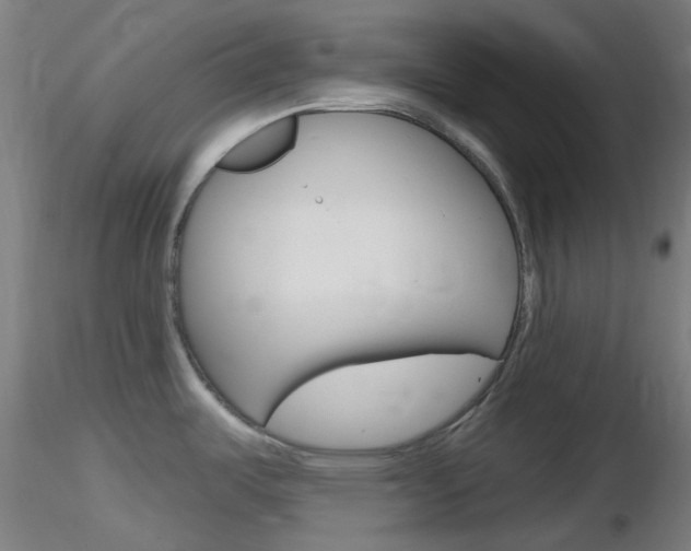X0000116791487200912181042