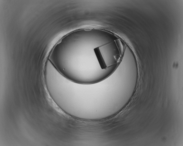 X0000116791488200912181042