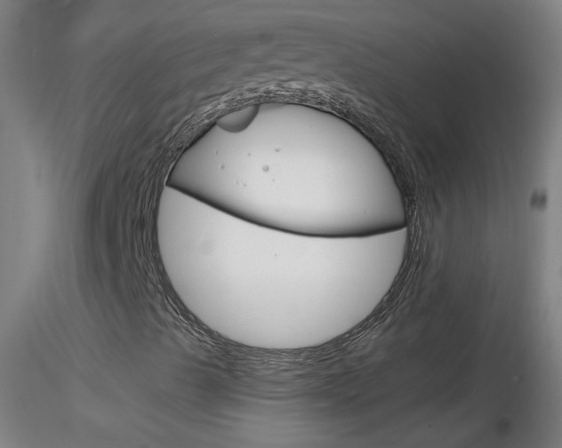 X0000116791489200912181041