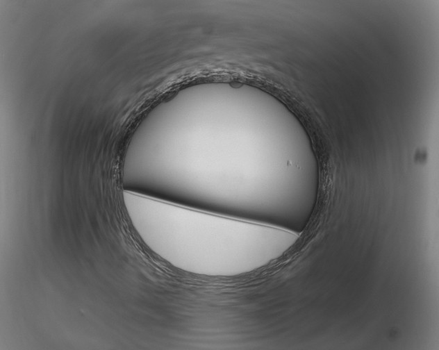 X0000116791490200912181041