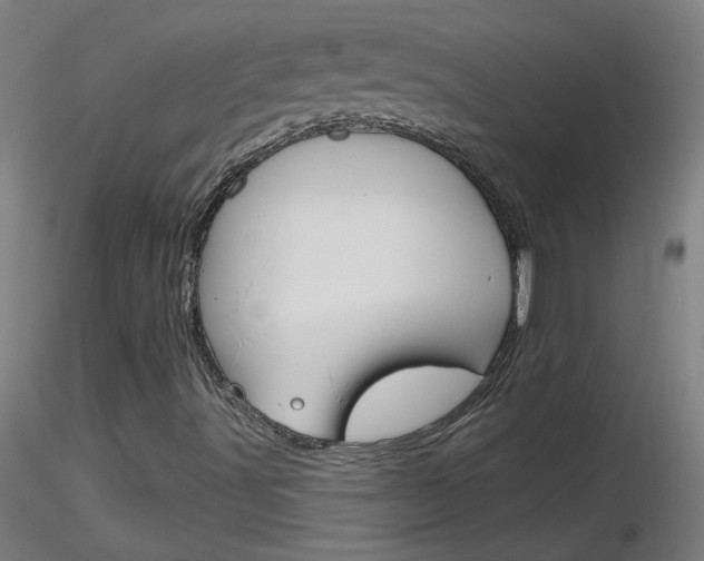 X0000116791491200912181041