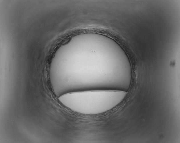 X0000116791493200912181041