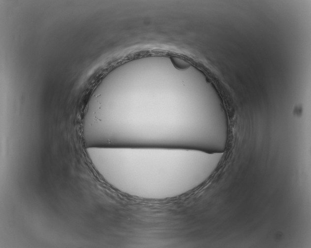 X0000116791495200912181041