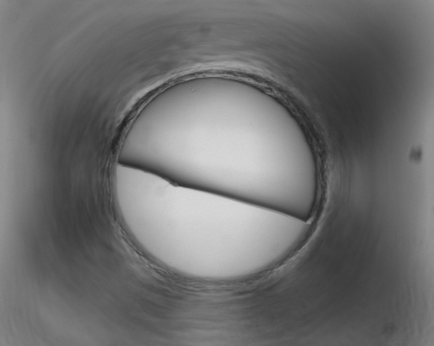 X0000116791497200912181042
