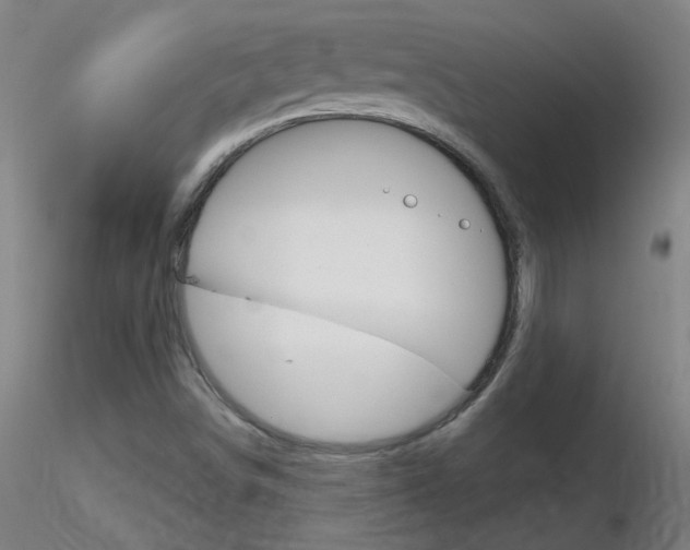 X0000116791498200912181042