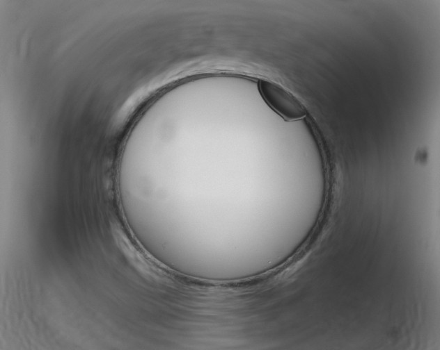 X0000116791499200912181042