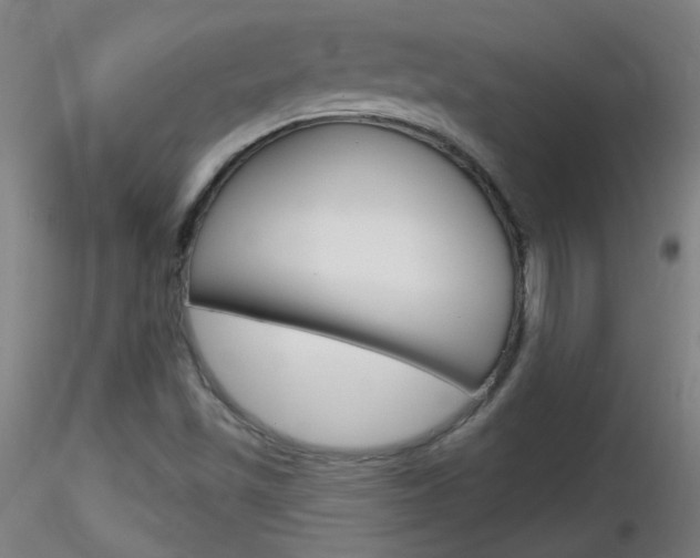 X0000116791501200912181042