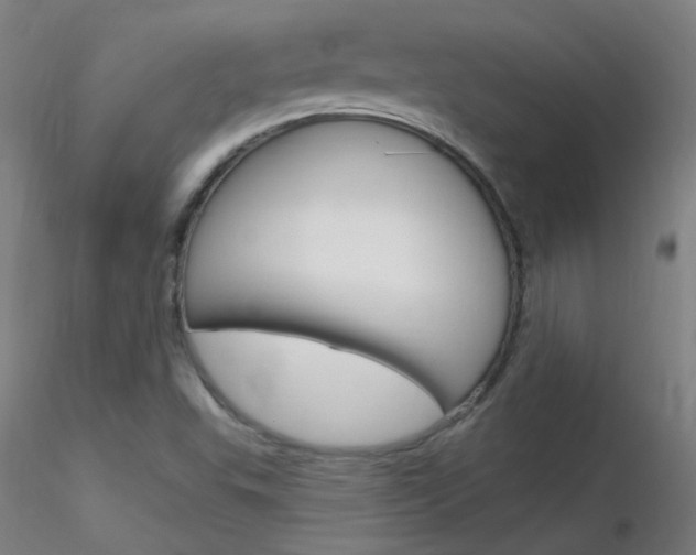 X0000116791503200912181042