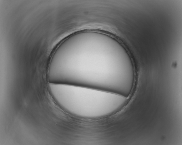 X0000116791505200912181042