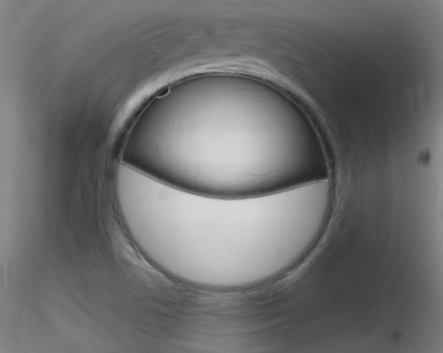 X0000116791506200912181042