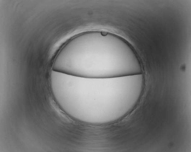 X0000116791507200912181042