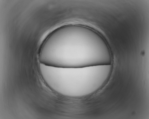 X0000116791509200912181042