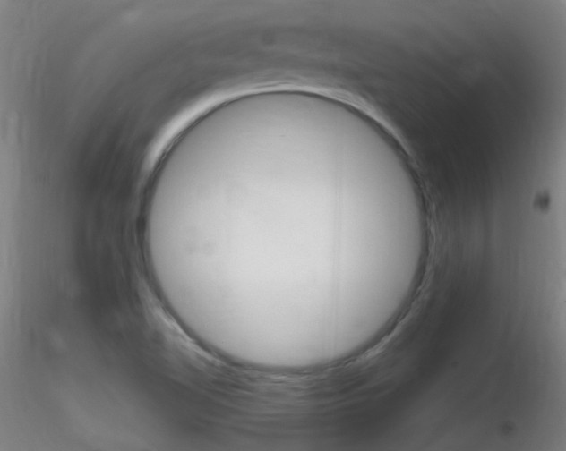 X0000116791510200912181042