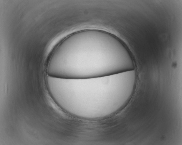X0000116791511200912181042