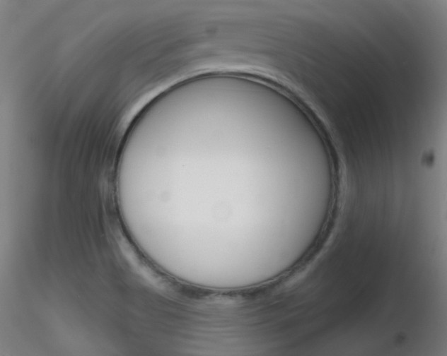 X0000116791513200912181042