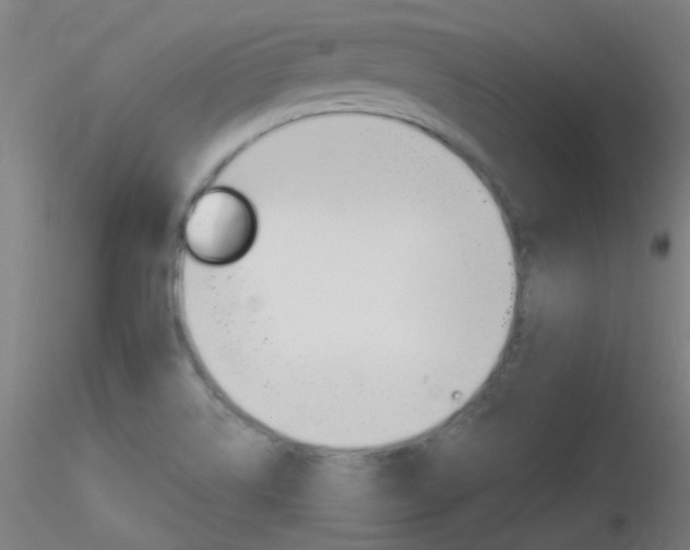 X0000116791514200912181042