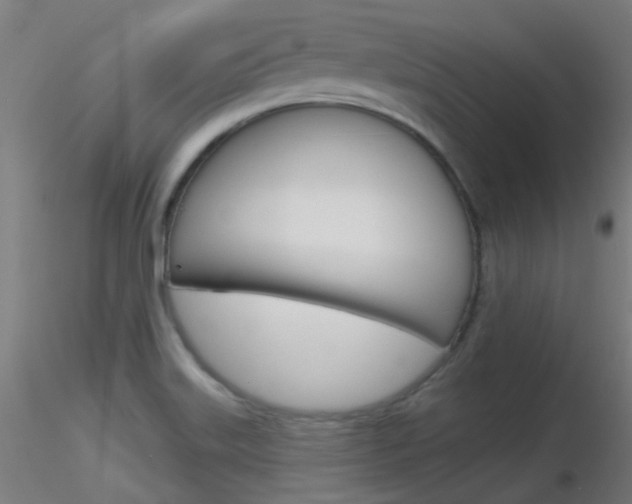 X0000116791515200912181042