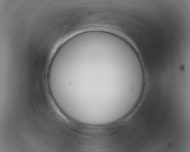 X0000116791517200912181042