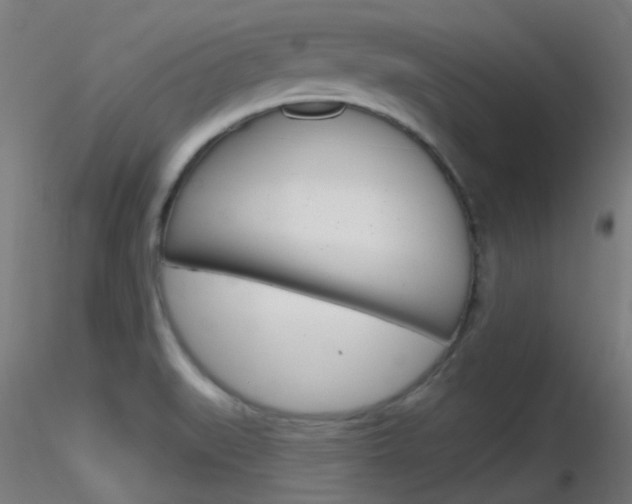 X0000116791519200912181042