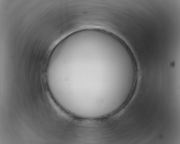 X0000116791521200912181042