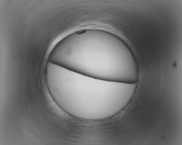 X0000116791522200912181042
