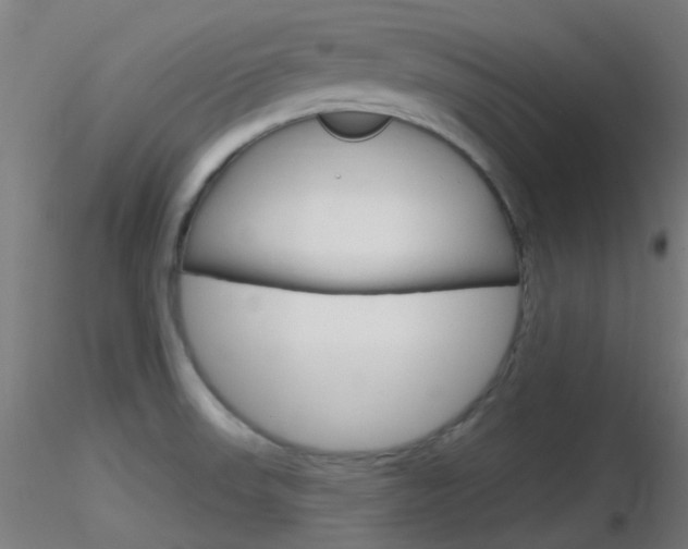 X0000116791523200912181042