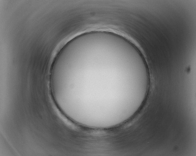 X0000116791525200912181042