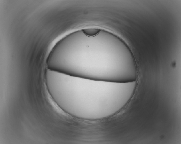 X0000116791526200912181042