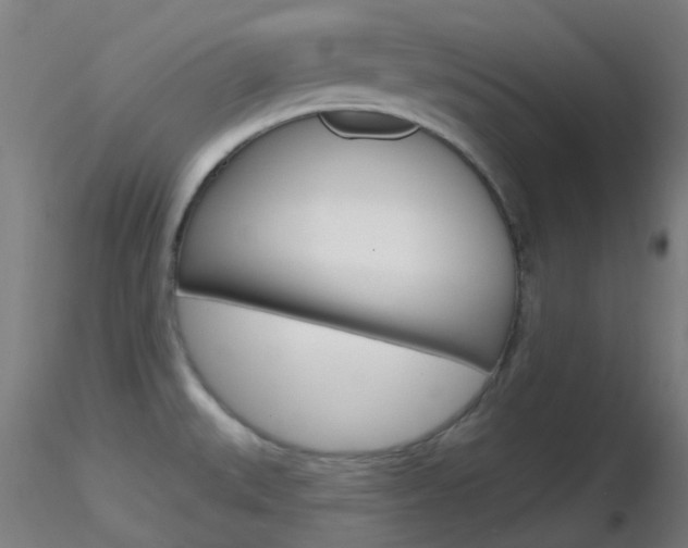 X0000116791527200912181042