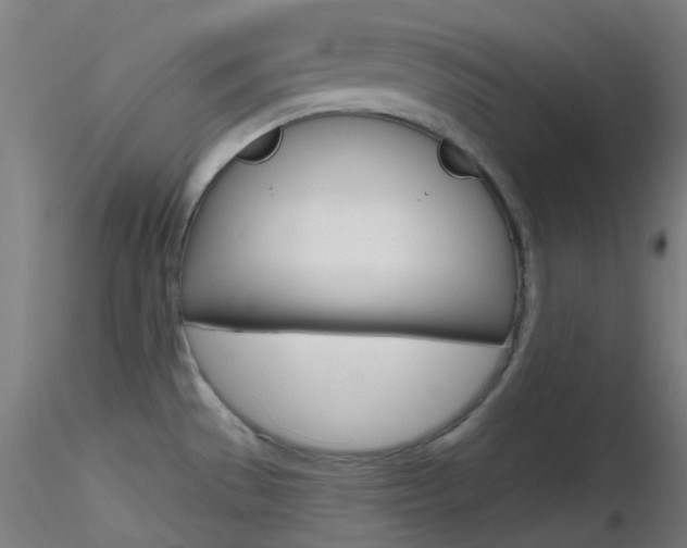 X0000116791529200912181042