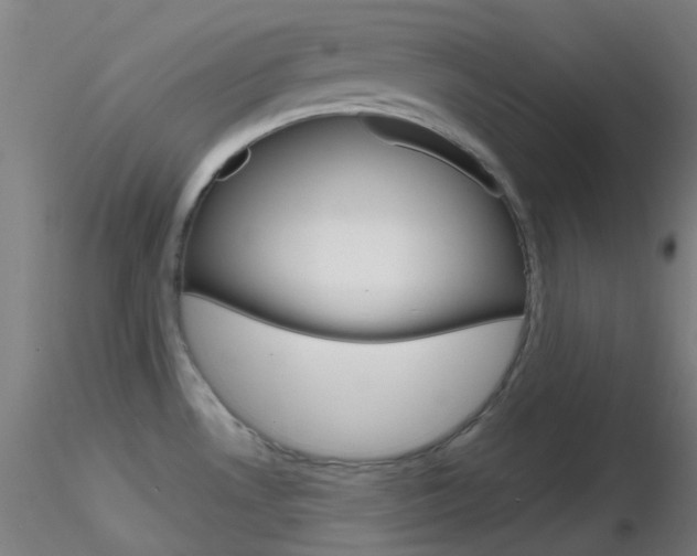 X0000116791530200912181042