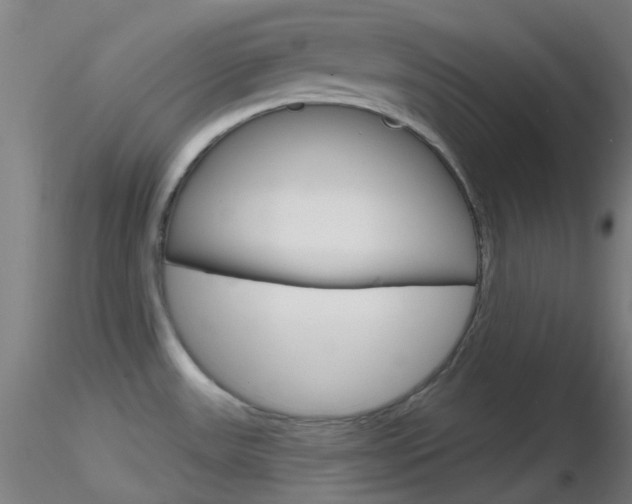 X0000116791531200912181042