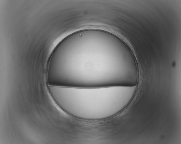 X0000116791533200912181042