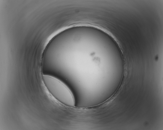 X0000116791534200912181042