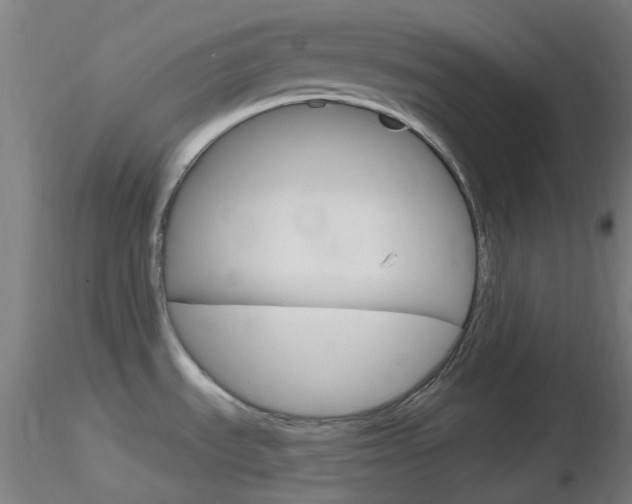 X0000116791535200912181042