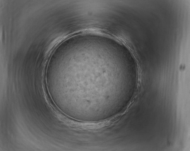 X0000116790001200912181305