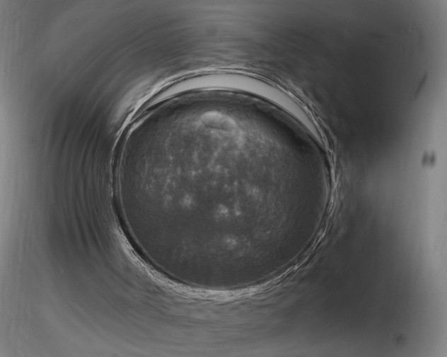 X0000116790002200912181305