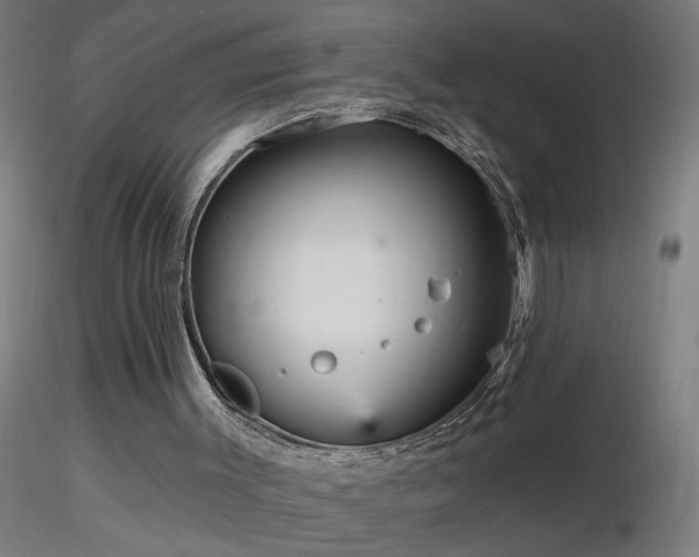 X0000116790003200912181305