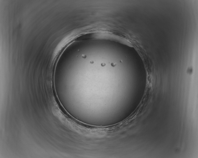 X0000116790004200912181305