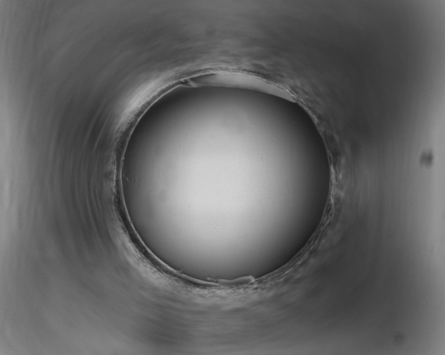 X0000116790005200912181305