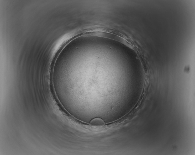 X0000116790006200912181305