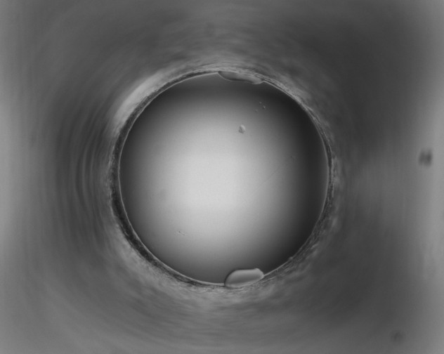 X0000116790007200912181305